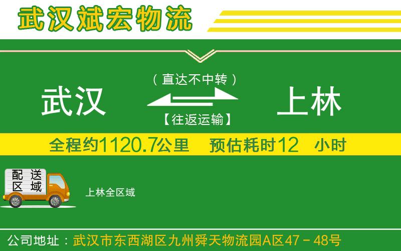 武漢到上林貨運(yùn)公司